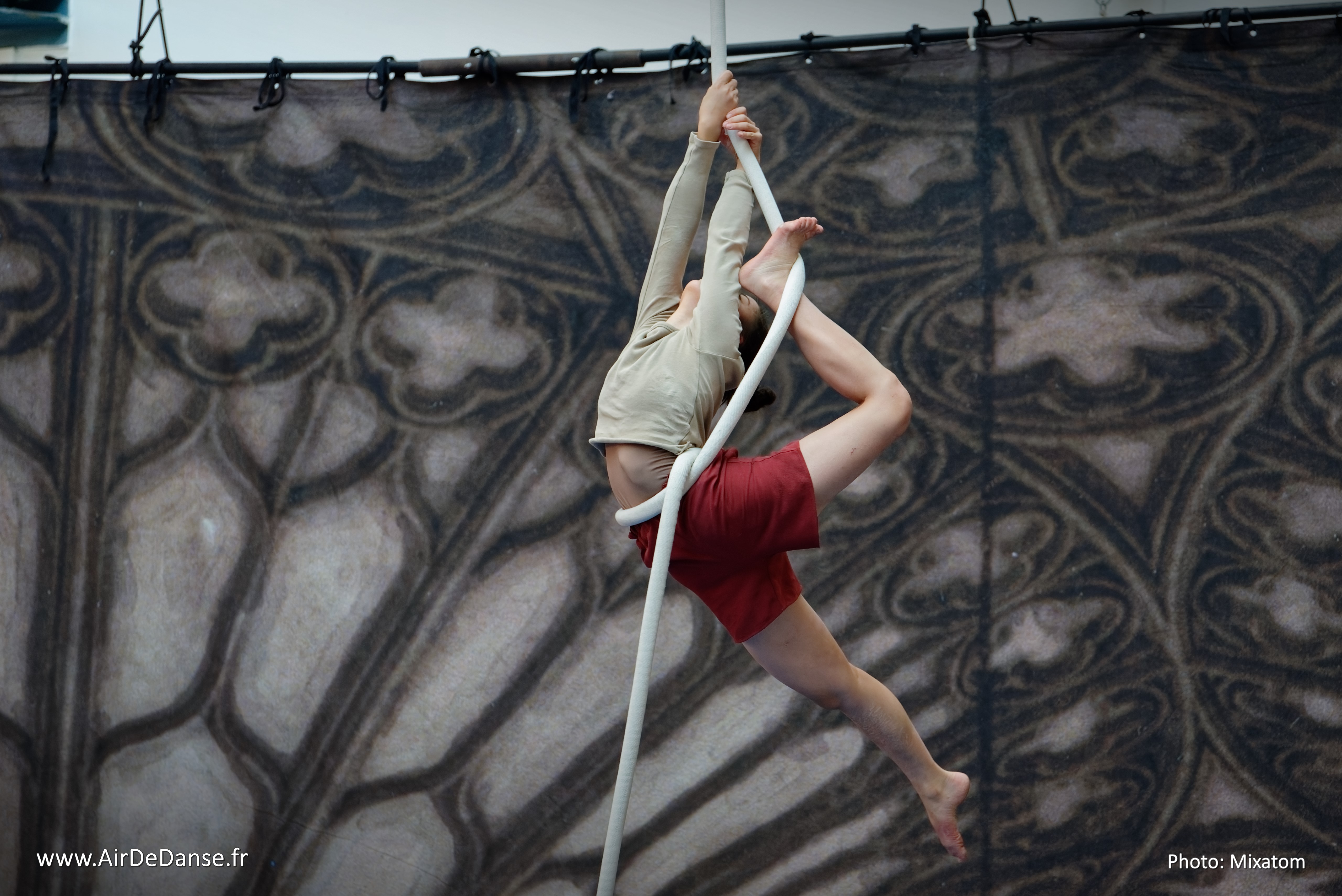 Ronsard Fête son Cirque